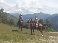 Soubrana Cheval Montagne