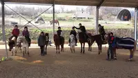 Centre Équestre le Cheval Musical