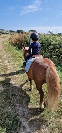 Centre Equestre de la Joie