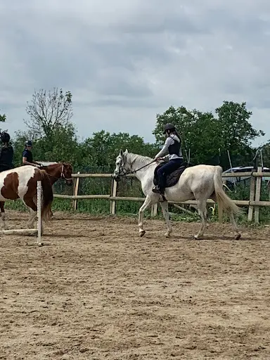 Les Poneys de Penol