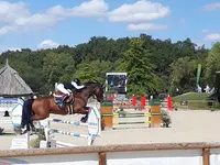 Haras de Bel Air (sarl)