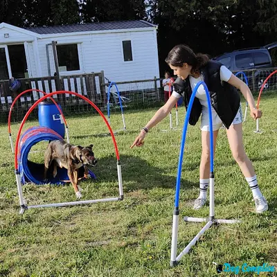 Dog Complice