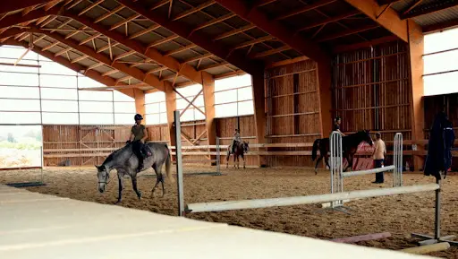 Pension Pour Chevaux - Ecuries de la Grange Blanche
