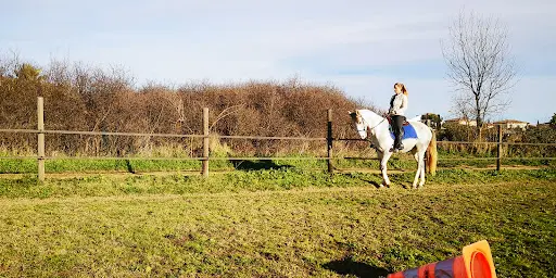 La Ferme Équestre de Juanito