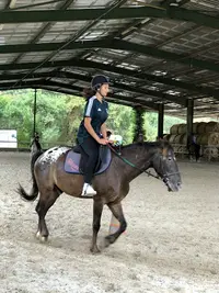 Centre Equestre Perpignan Mas Palegry