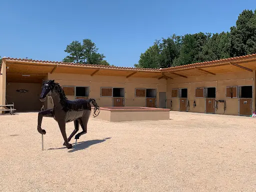 Haras Del Vives