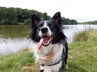 Canhicap
