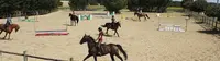 Ecuries des Grands Robineaux