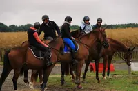 Ecurie des Palissades