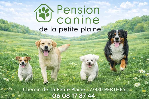 Pension Canine de la Petite Plaine