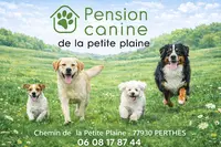 Pension Canine de la Petite Plaine