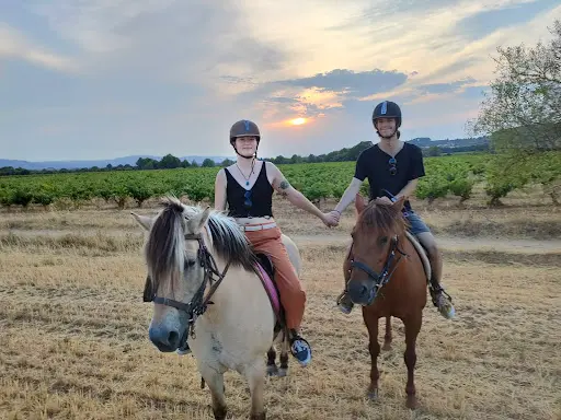 Balade À Cheval Equité Fan