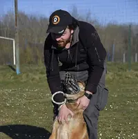 Ludidog Educateur Canin À Domicile