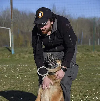 Ludidog Educateur Canin À Domicile