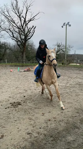 Espace Equestre de Dorson
