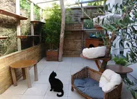 La Caresse du Chat - Pension Féline