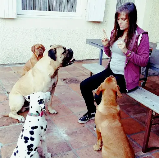Le Domaine des Animaux