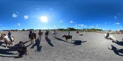 Les Destriers du Nord