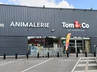 Tom&co Petite-foret