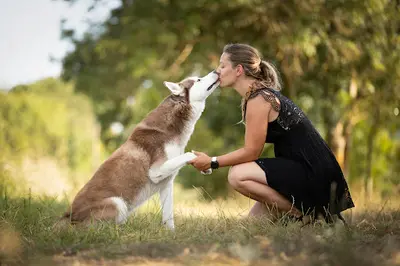 O Cani - Éducateur Comportementaliste Canin
