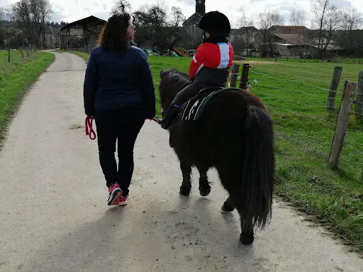Ferme Équestre de la Tuilerie