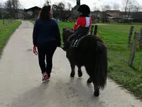 Ferme Équestre de la Tuilerie