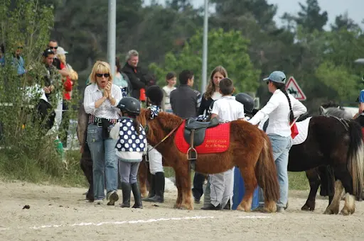 Centre Equestre de Peyriac de Mer & Pensions Canine