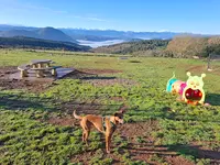 Doglye&co