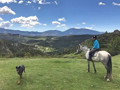 Centre Equestre la Grande Bastide
