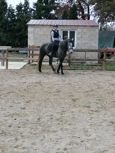 Écurie l'As de Trèfle