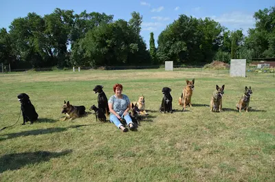 Sport Canin Forca Real