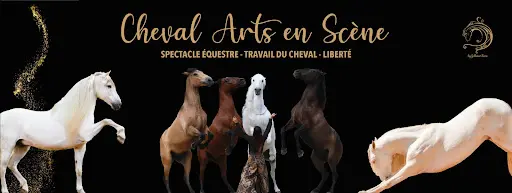 Cheval Art en Scène