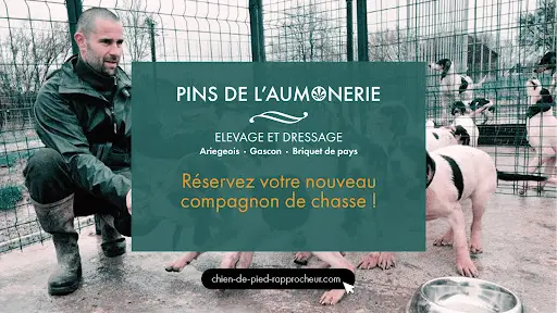 Les Pins de l'Aumônerie