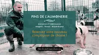 Les Pins de l'Aumônerie