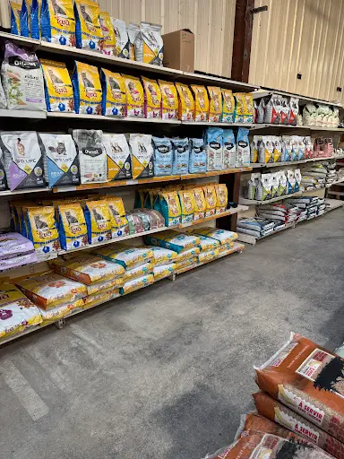 Animax Petfood