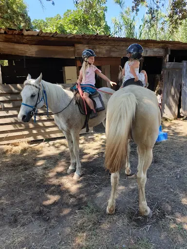Promenades À Cheval Cavallu Di Brando