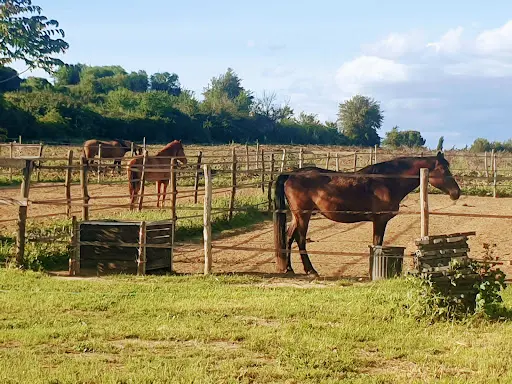 Les Ecuries du Redon