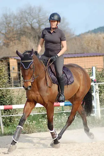 Écurie les Oliviers