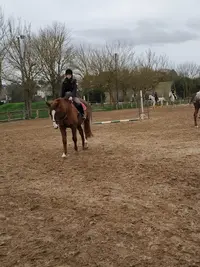 Club l'Eperon de Pin Balma