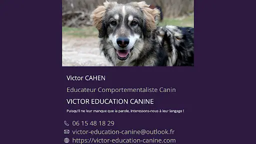 Victor Education Canine
