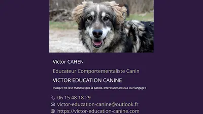Victor Education Canine