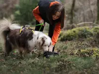 Symbiose - Sarah Bonnefoy - Educateur Canin Comportementaliste