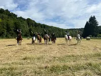 Poney Club des Jonquilles