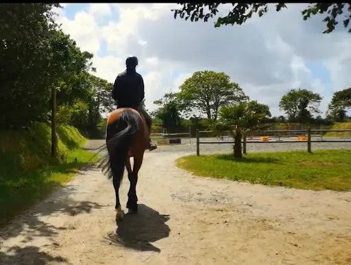 Ecurie Pascal Maltret - Chevaux de Sport