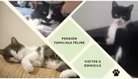 Les Copains d'Astro