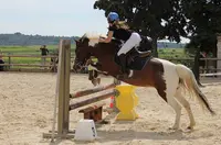 Equi-p Domaine Equestre