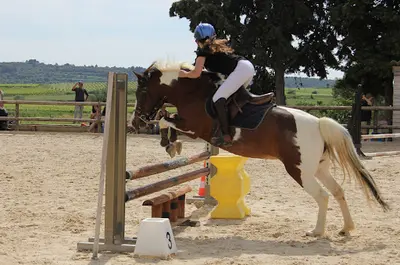 Equi-p Domaine Equestre