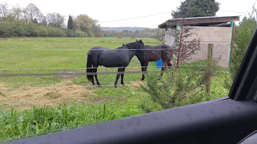 Les Écuries du Grand Verger