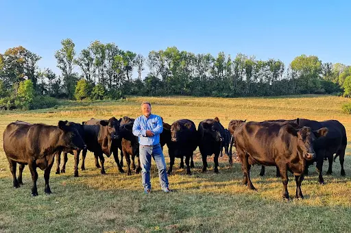Ferme des Lesines/ranch des Lesines