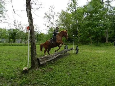 Ferme Equestre de Lavant